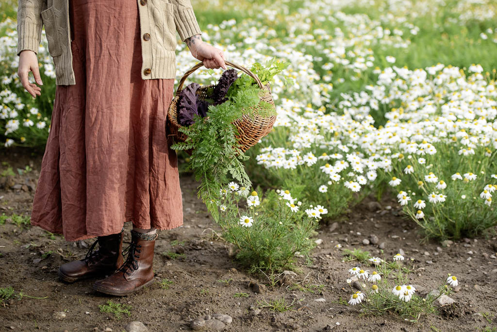 Edinburgh brand photographer - photo shoot in Buckie, Morary, for homesteader - woman carrying basket of vegetables