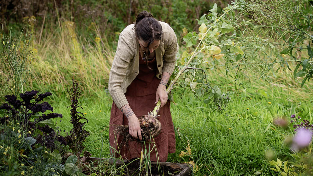 Edinburgh Branding Photographer - brand photo shoot in Moray  - woman lifting swede out of the ground